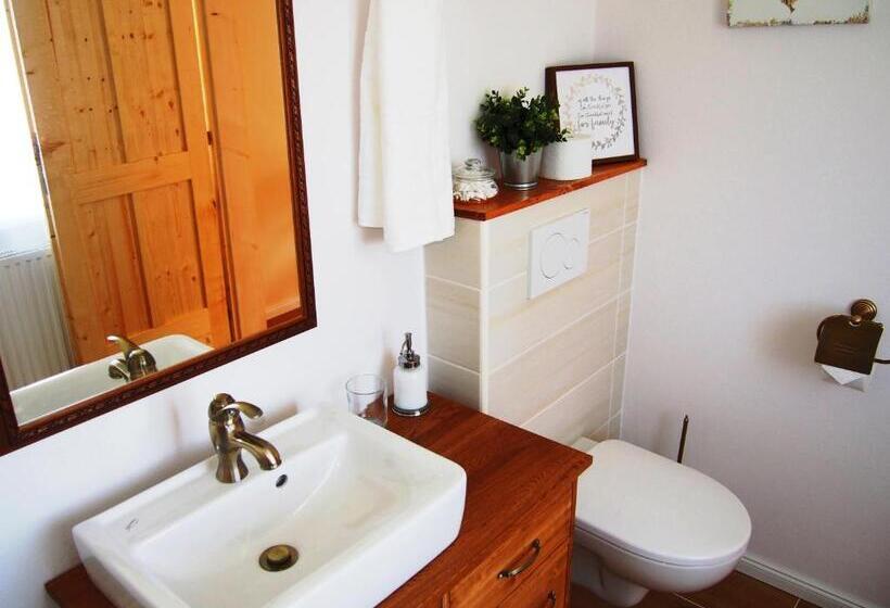 חדר סטנדרט, Penzion V Peřině