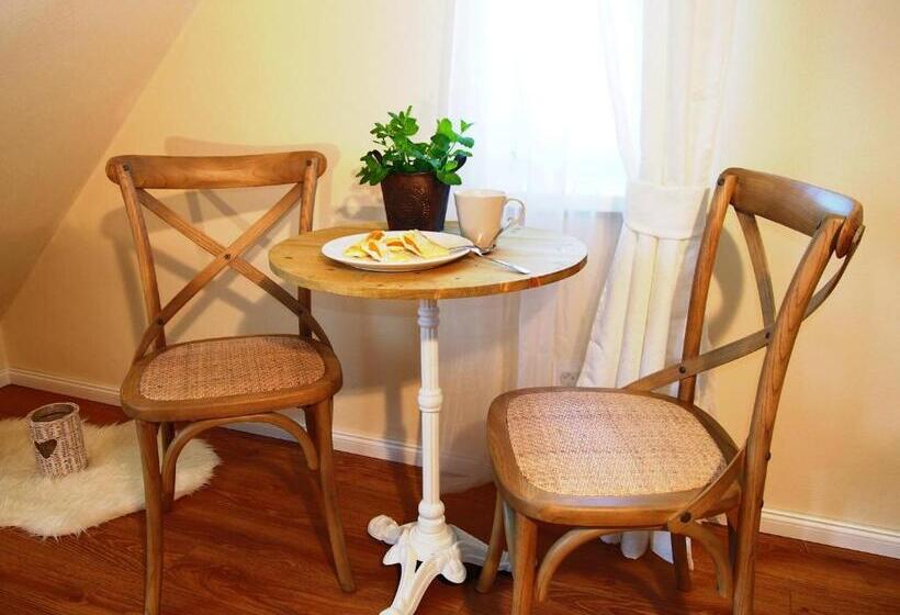 חדר סטנדרט, Penzion V Peřině