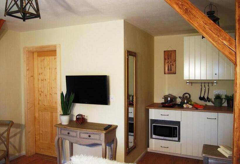 חדר סטנדרט, Penzion V Peřině