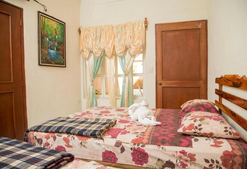 اتاق استاندارد سه نفره, Aruma