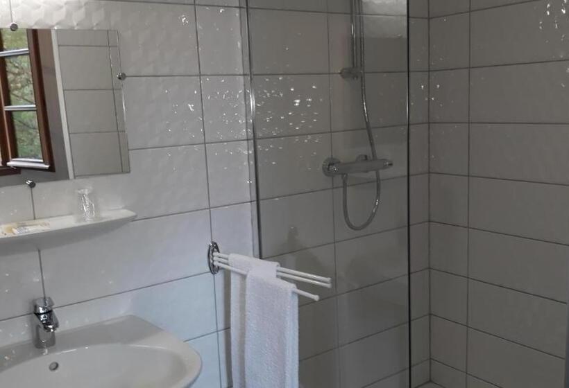 חדר סופריור עם מיטת קינג, Le Relais De Boralde