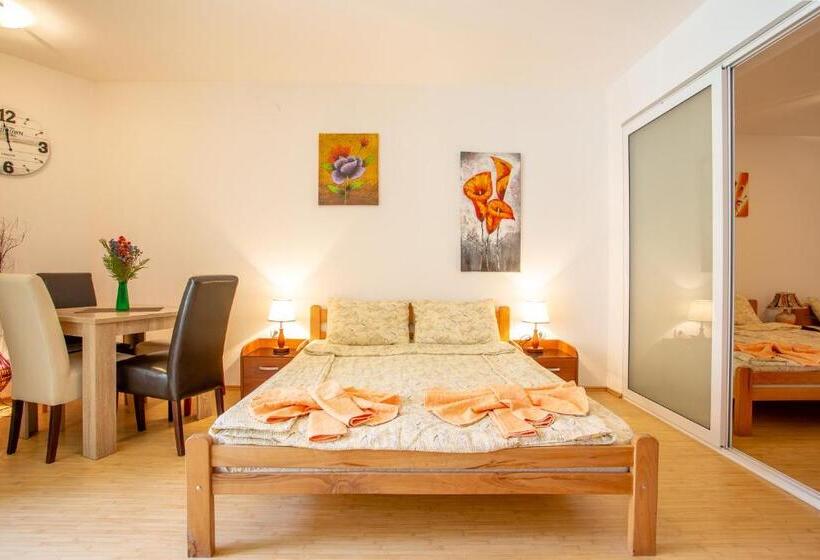 اتاق سوپریور خانوادگی, Guesthouse Sunny
