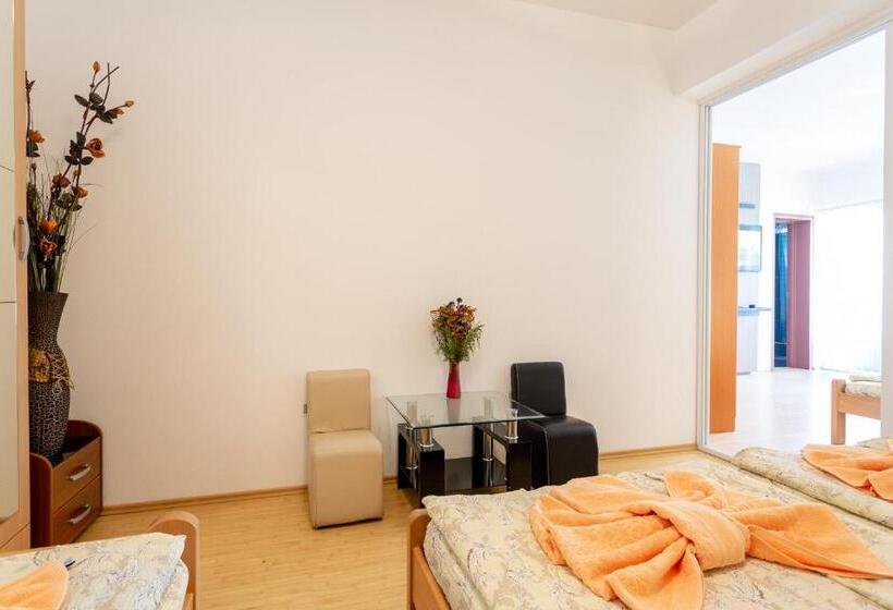 اتاق سوپریور خانوادگی, Guesthouse Sunny