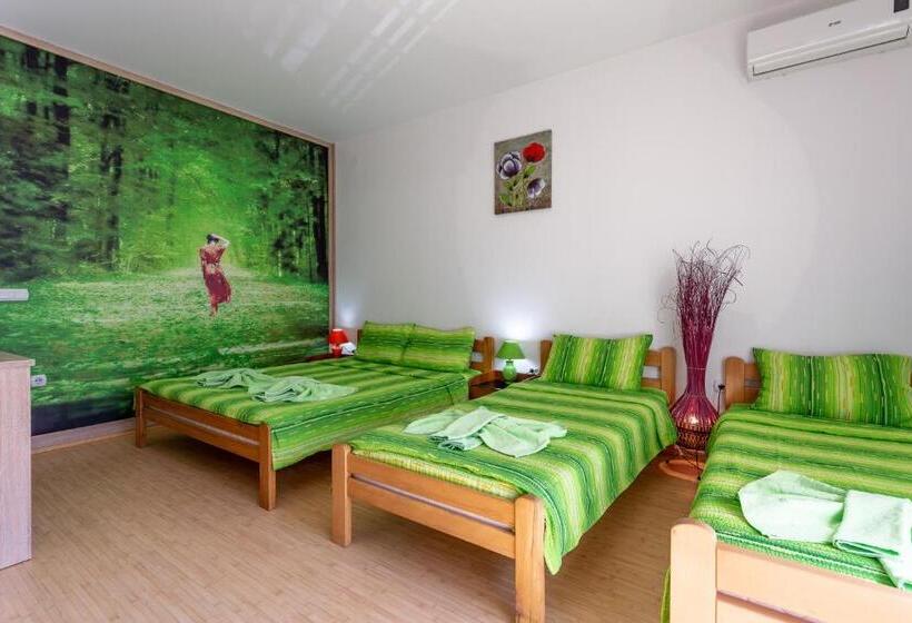 اتاق سوپریور چهار تخته, Guesthouse Sunny