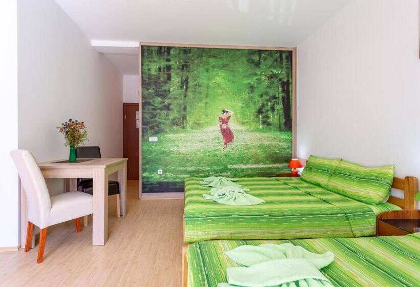 اتاق سوپریور چهار تخته, Guesthouse Sunny