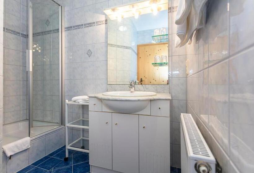 テラス付き1ベッドルームアパートメント, Tischlerwirt