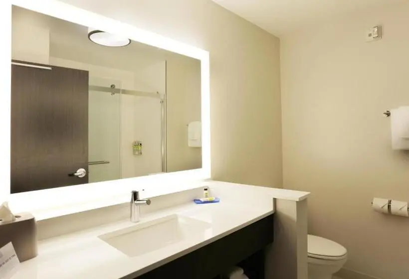 キングサイズベッドのスタンダードルーム, Holiday Inn Express Oneonta, An Ihg
