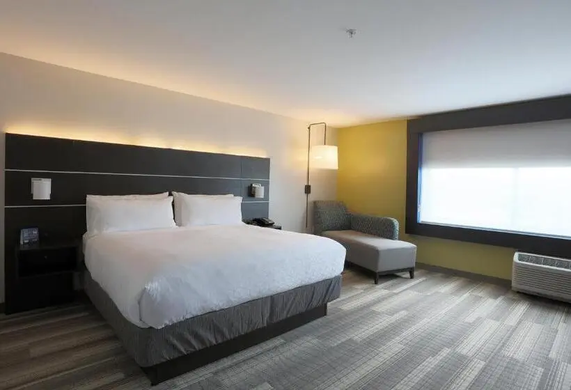 キングサイズベッドのスタンダードルーム, Holiday Inn Express Oneonta, An Ihg
