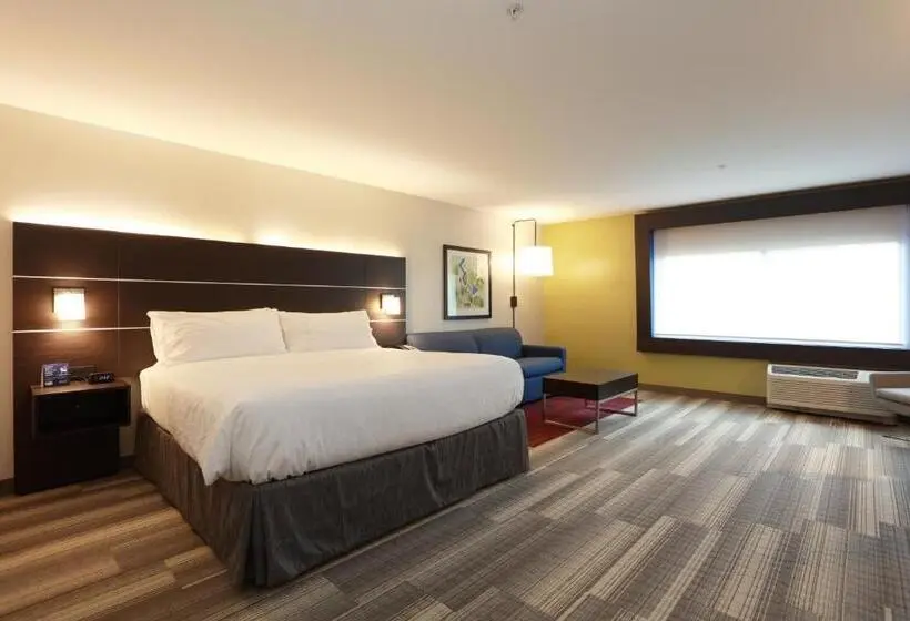 身障者適用キングサイズベッドルーム, Holiday Inn Express Oneonta, An Ihg