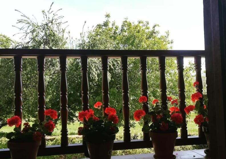 חדר סטנדרט עם מרפסת, La Posada De Maria