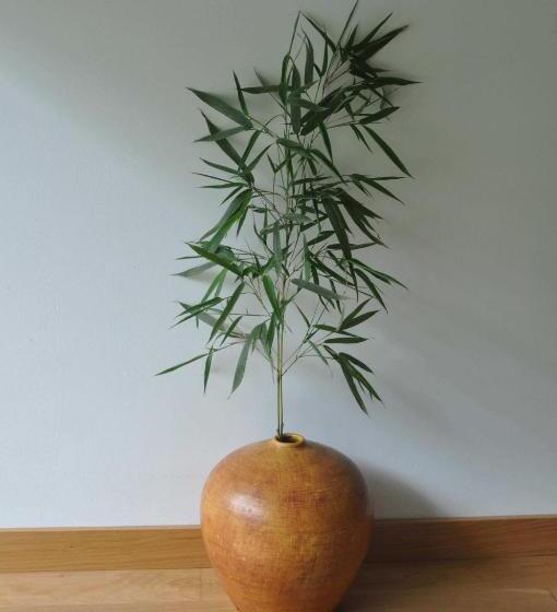 חדר סטודיו סטנדרד, Casas Vale Martinho