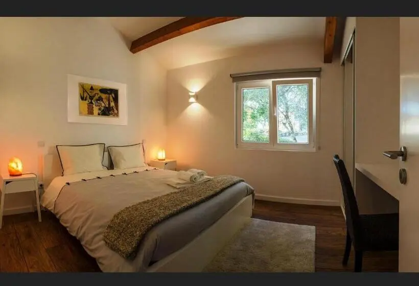 景色の見える一ベッドルームアパートメント, Quinta Da Teimosa