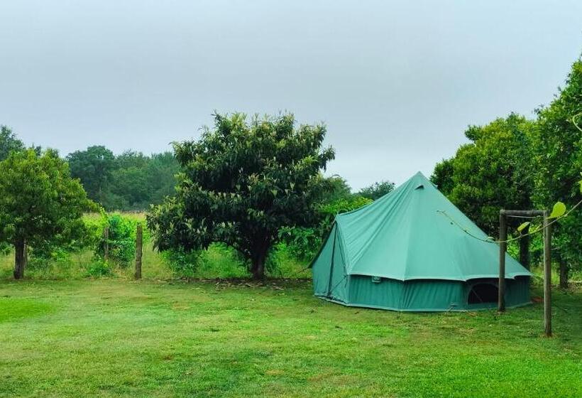 كوخ قياسي, Quinta Da Teimosa