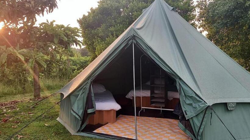 Standard Tent, Quinta Da Teimosa