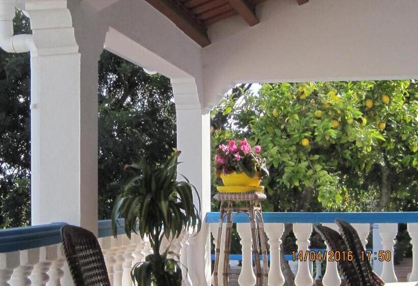 2间卧室的房子, Quinta Da Fonte Em Moncarapacho