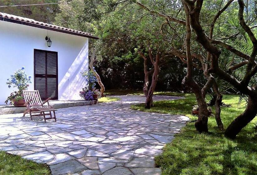 침실 2개 주택, Albatros