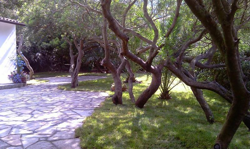 침실 2개 주택, Albatros