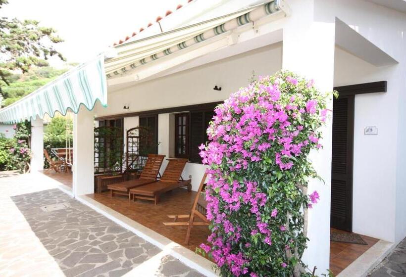 침실 1개 가든 전망 아파트, Albatros