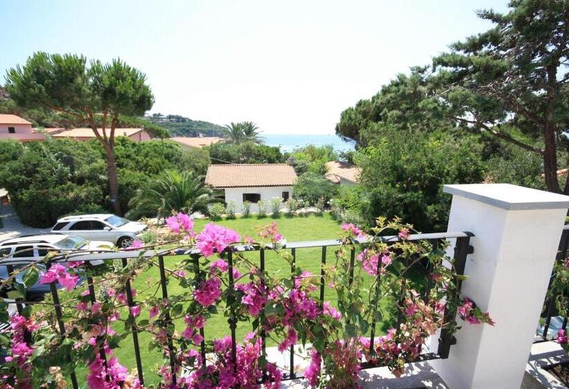 침실 1개 바다 전망 아파트, Albatros