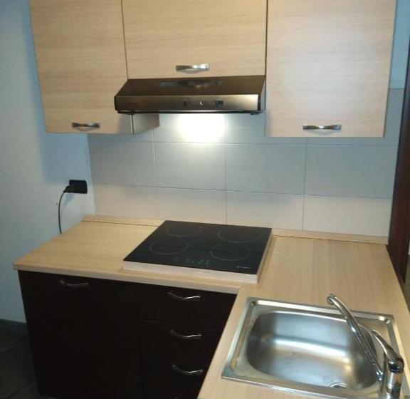 חדר סטודיו סטנדרד, Residence Le Marmotte