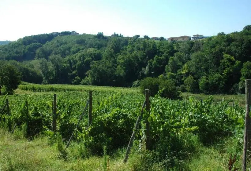 １ベッドルームアパートメント, Agriturismo Casa Casoni
