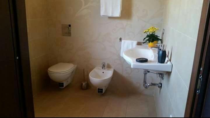 １ベッドルームハウス, Agliadò