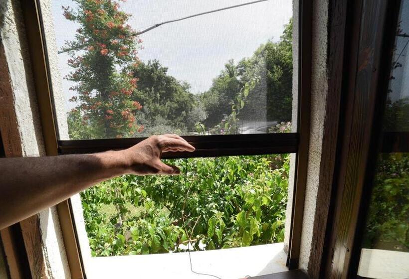 חדר דלוקס עם מרפסת, Agriturismo  La Valle Degli Ulivi