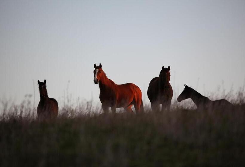 带1个卧室的豪华别墅, Tenuta Di Paternostro