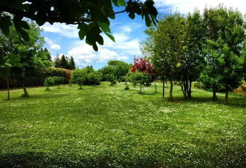 スタンダードルーム, Agriturismo Maloura