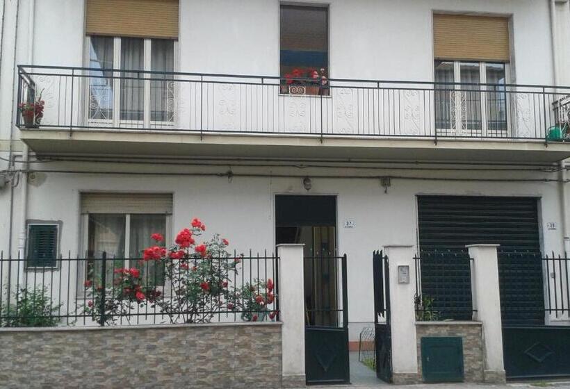 اتاق استاندارد, Homestay