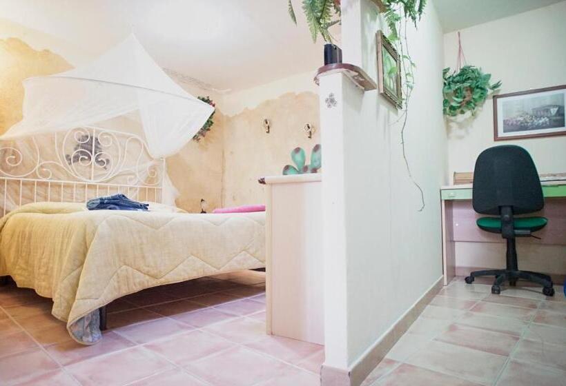 آپارتمان 1 خوابه, Alfa Quadro