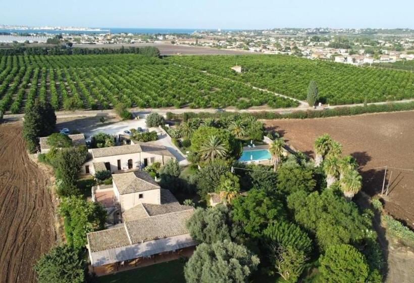 Номер Стандарт, Pozzo Di Mazza