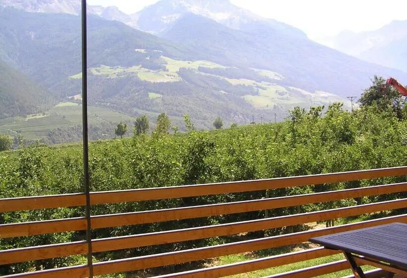 １ベッドルームのデラックスアパートメント, Appartements Kortscherhof