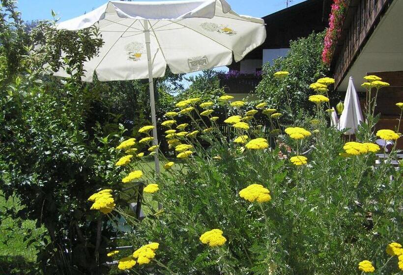 شقة ديلوكس غرفة واحدة, Appartements Kortscherhof