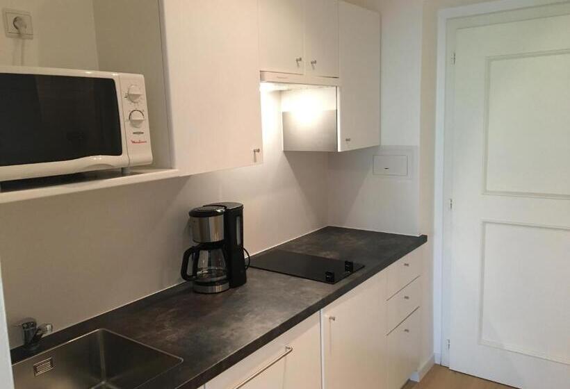 شقة غرفة واحدة ذات إطلالة, Appartements Kortscherhof