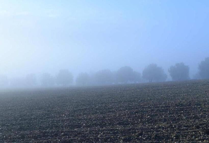 בית, חדר שינה 1, Agriturismo Arte Et Agricoltura