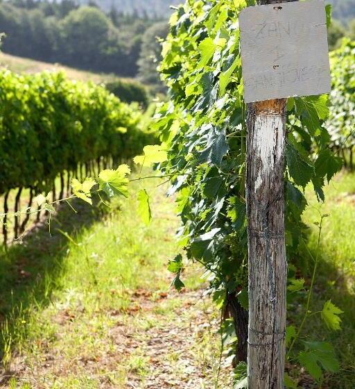 آپارتمان سوپریور 1 خوابه, Fattoria Poggio Capponi