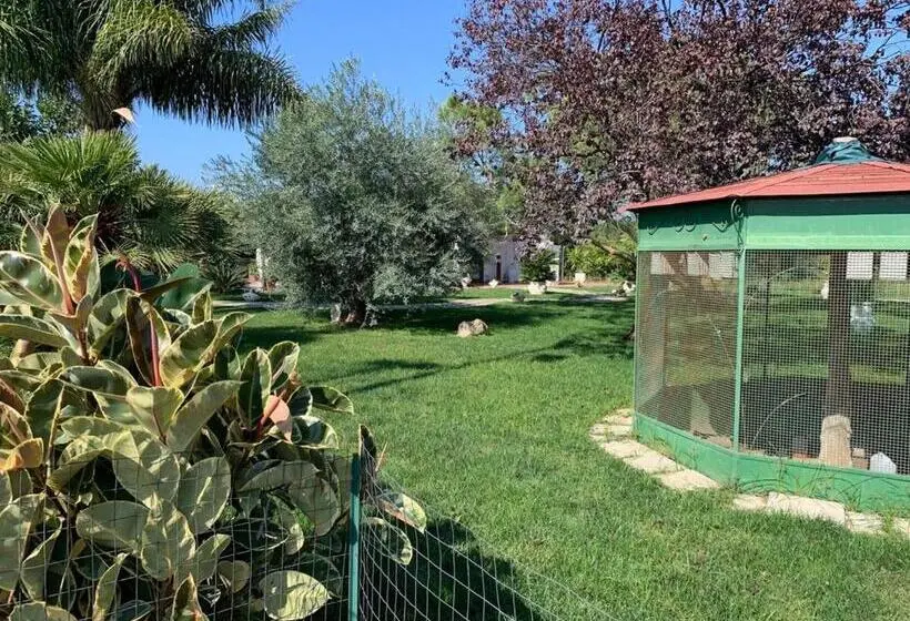 ガーデンビュースタンダードルーム, Agriturismo Ricciardulli