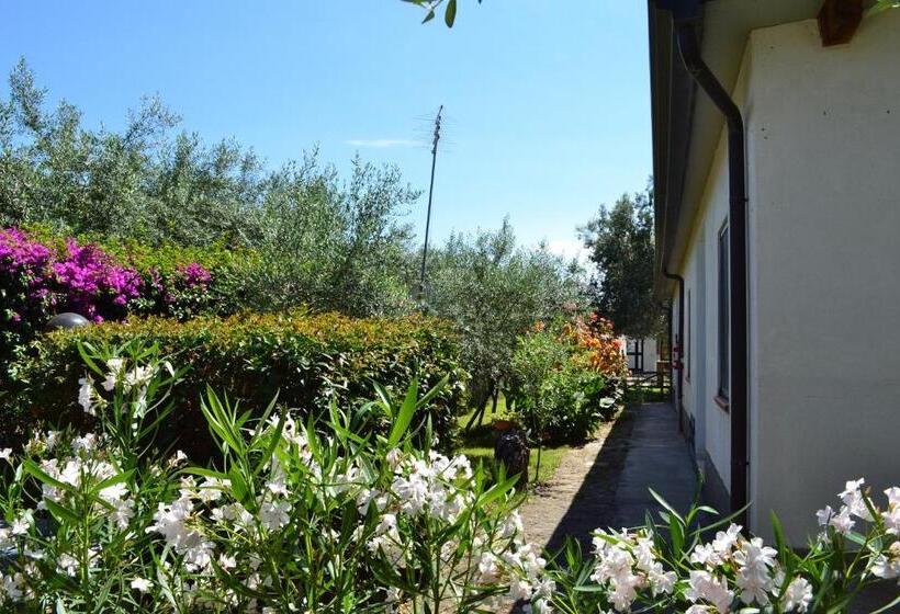 חדר סטנדרט, Agriturismo Il Maresciallo