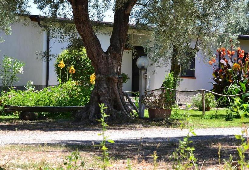 חדר סטנדרט, Agriturismo Il Maresciallo