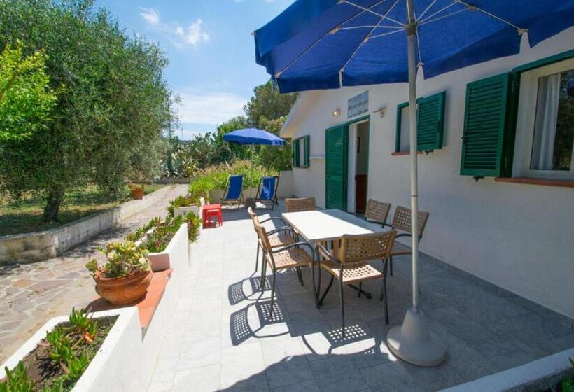 带2个卧室的公寓, Azienda Agricola Sapereta