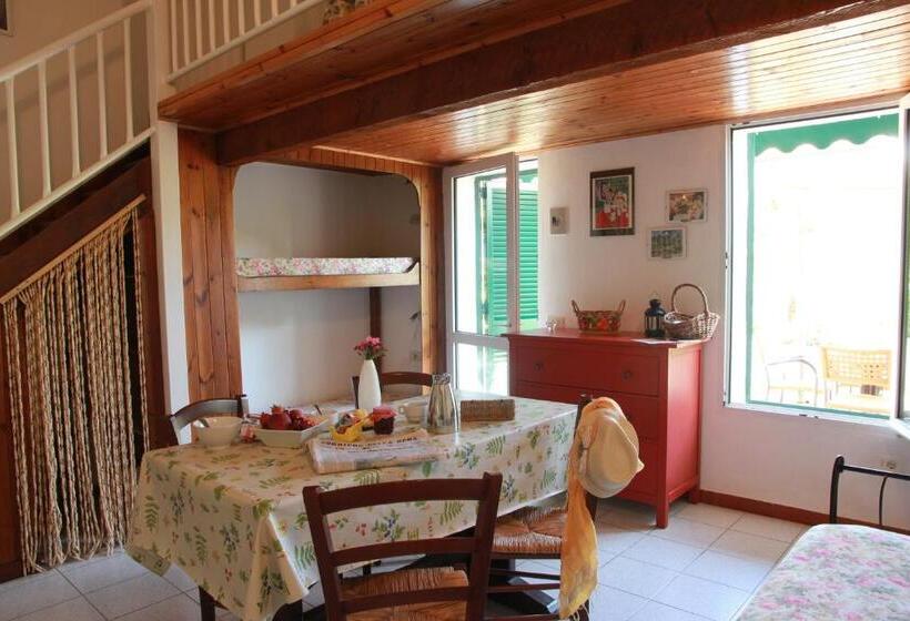 标准工作室, Azienda Agricola Sapereta