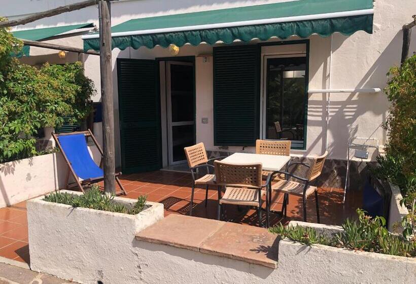 标准工作室, Azienda Agricola Sapereta