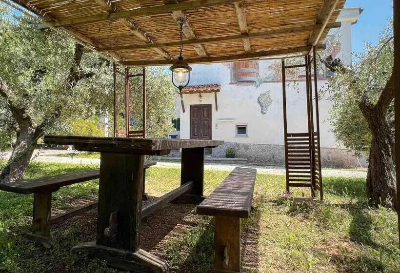 ３ベッドルームアパートメント, Azienda Agricola Sapereta