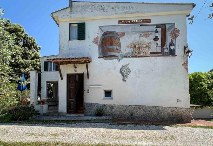 带3个卧室的公寓, Azienda Agricola Sapereta