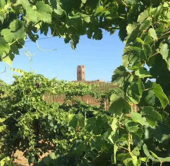 身障者適用スタンダードルーム, Il Casale Degli Ulivi Agriturismo