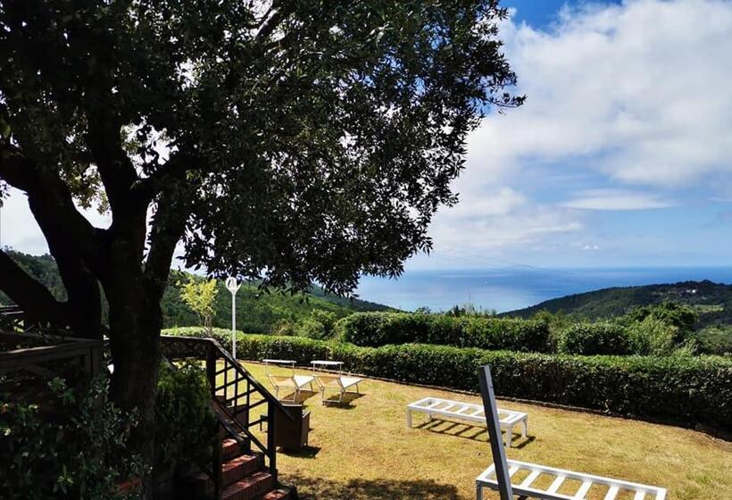 Номер Стандарт Индивидуальный, B&b Il Piccolo Paradiso