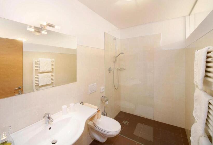 Апартаменты 1 Спальня с Балконом, Residence Innerfarmerhof