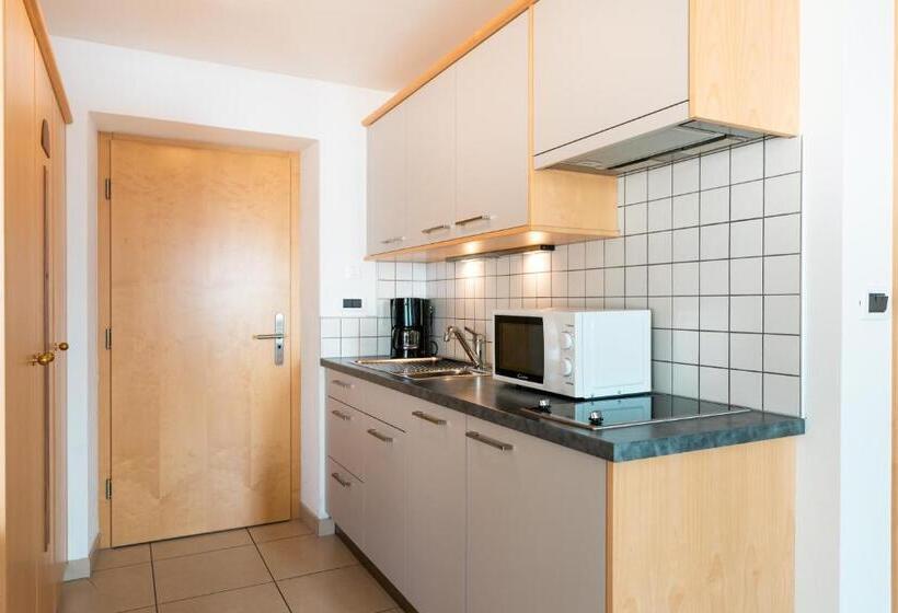 Студия Стандарт, Residence Innerfarmerhof