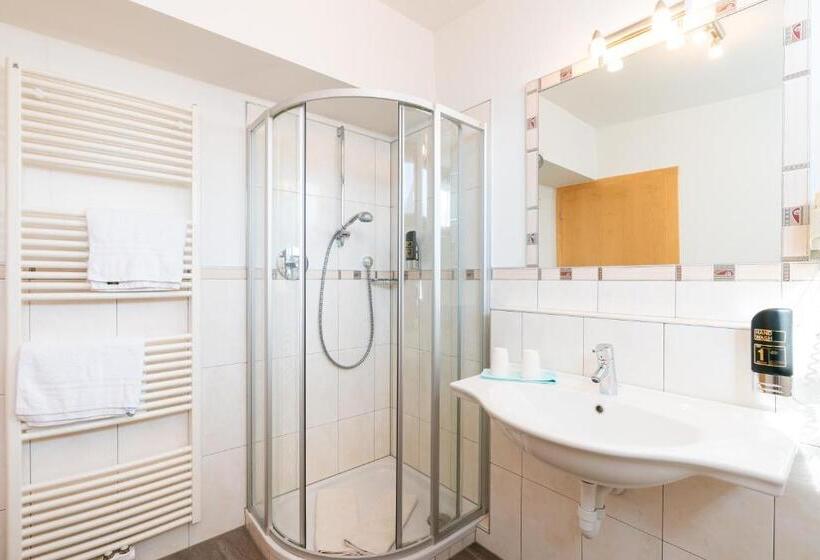 Студия Стандарт, Residence Innerfarmerhof